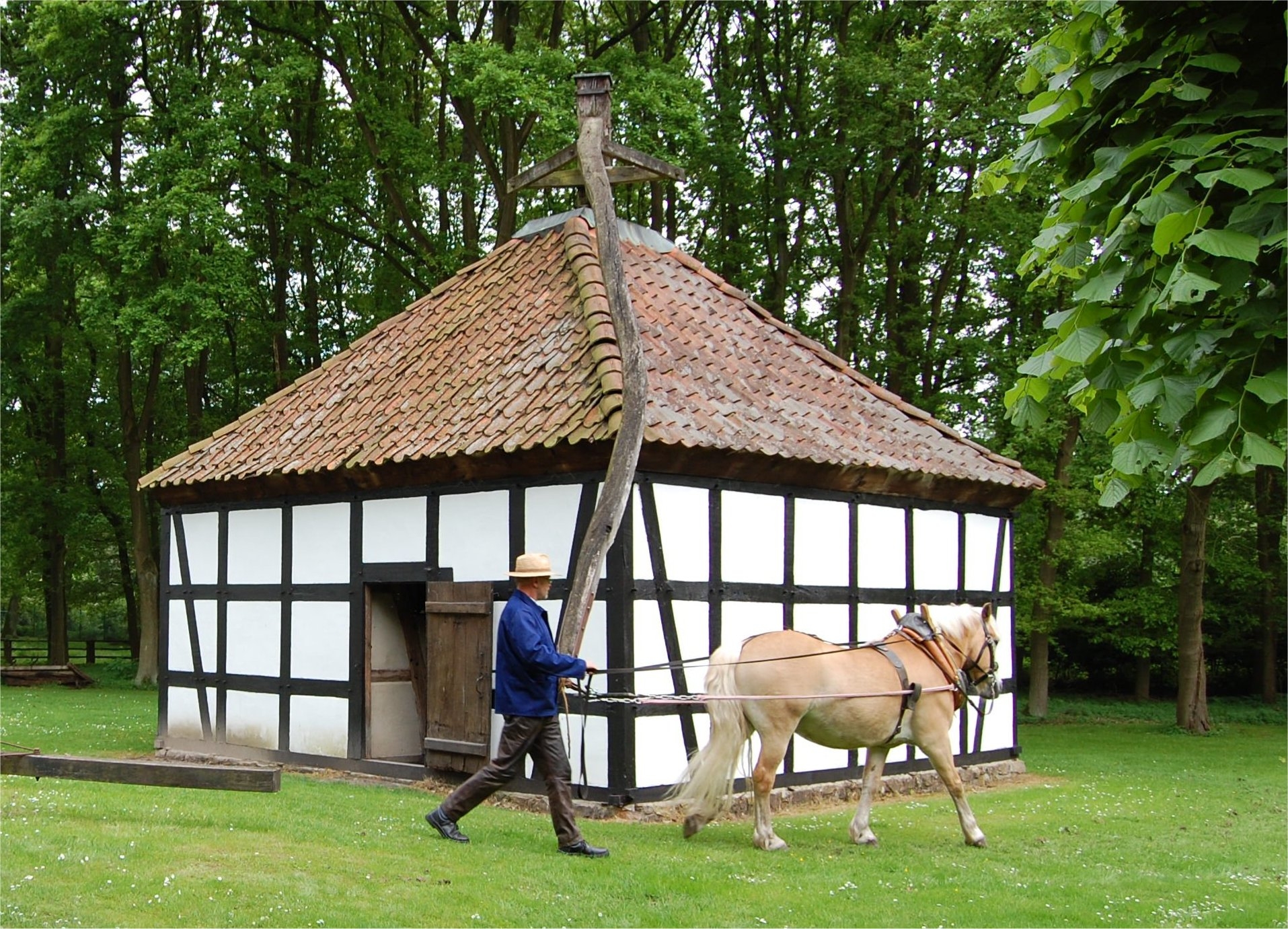 23. Rossmühle Rahden